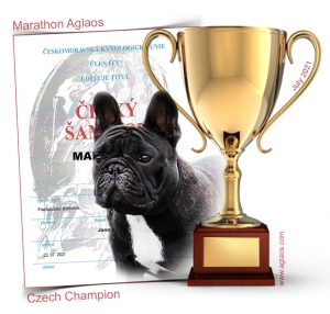 28. 7. 2021 - Marathon Aglaos - nowy champion czeski