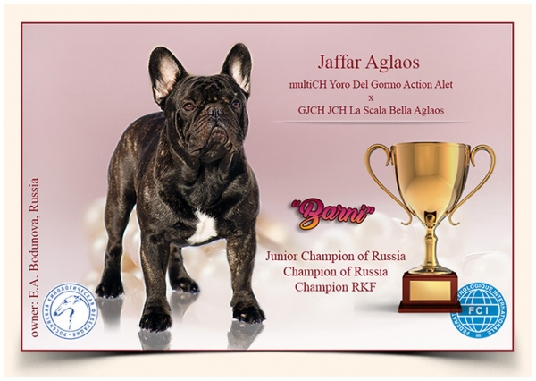 10. 2. 2020 - Jaffar Aglaos - nowy Champion Rosyjski, RKF i Junior Champion