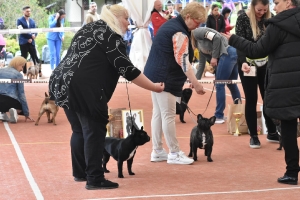 Tango 