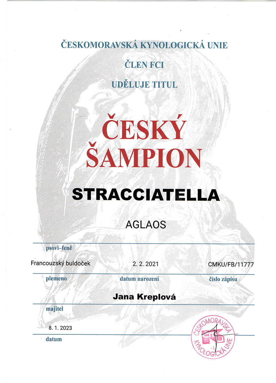 stracciatella ch cz2023