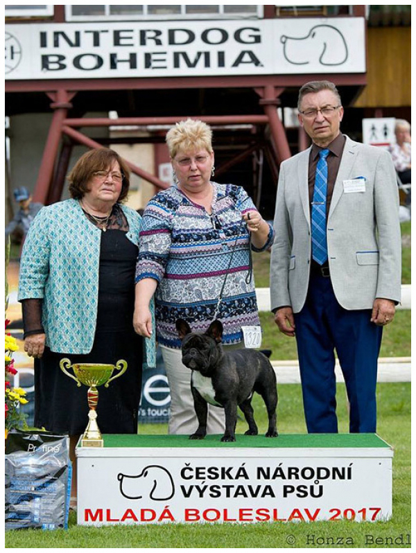 Nat. Show Mlada Boleslav, CZ - 16. 7. 2017, judge: Mrs Mgr. B. Ovesna, CZ