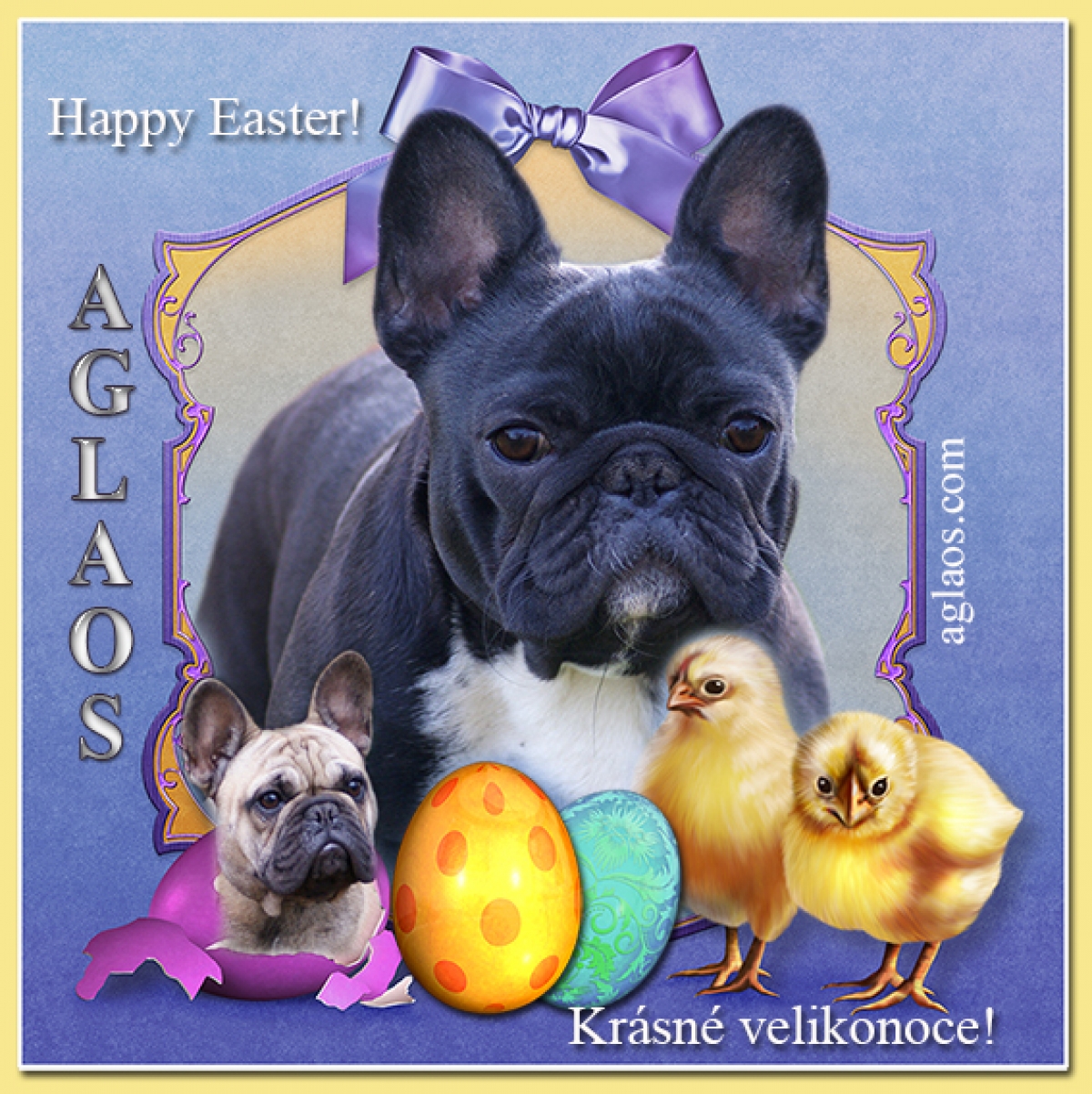 Krásné velikonoce - Happy Easter - Pogodnych swiat wielkanocnych!