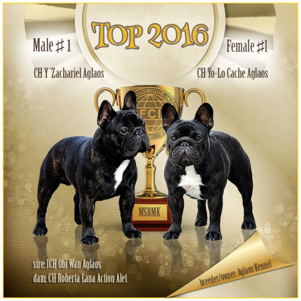 TOP Male and TOP Female 2016