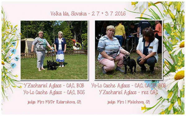Intern. Shows Velka Ida, Slovakia - 2. 7. + 3. 7. 2016
