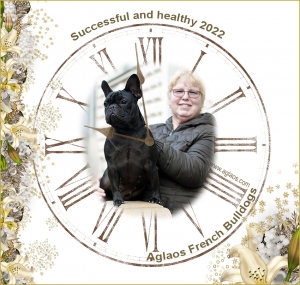 31. 12. 2021 - Aglaos Kennel wish to all our visitors all the best!