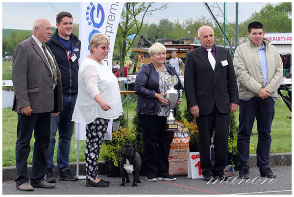 11. 5. 2019 - Specialty Show Hlucin, CZ
