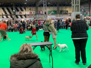 Crufts 2024